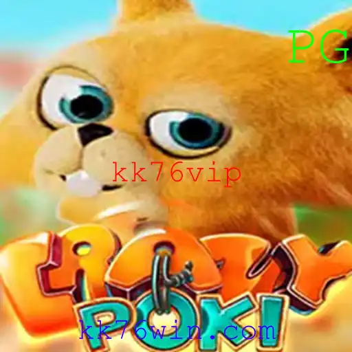 Explorando o Universo de CrazyPoki: Um Guia Completo